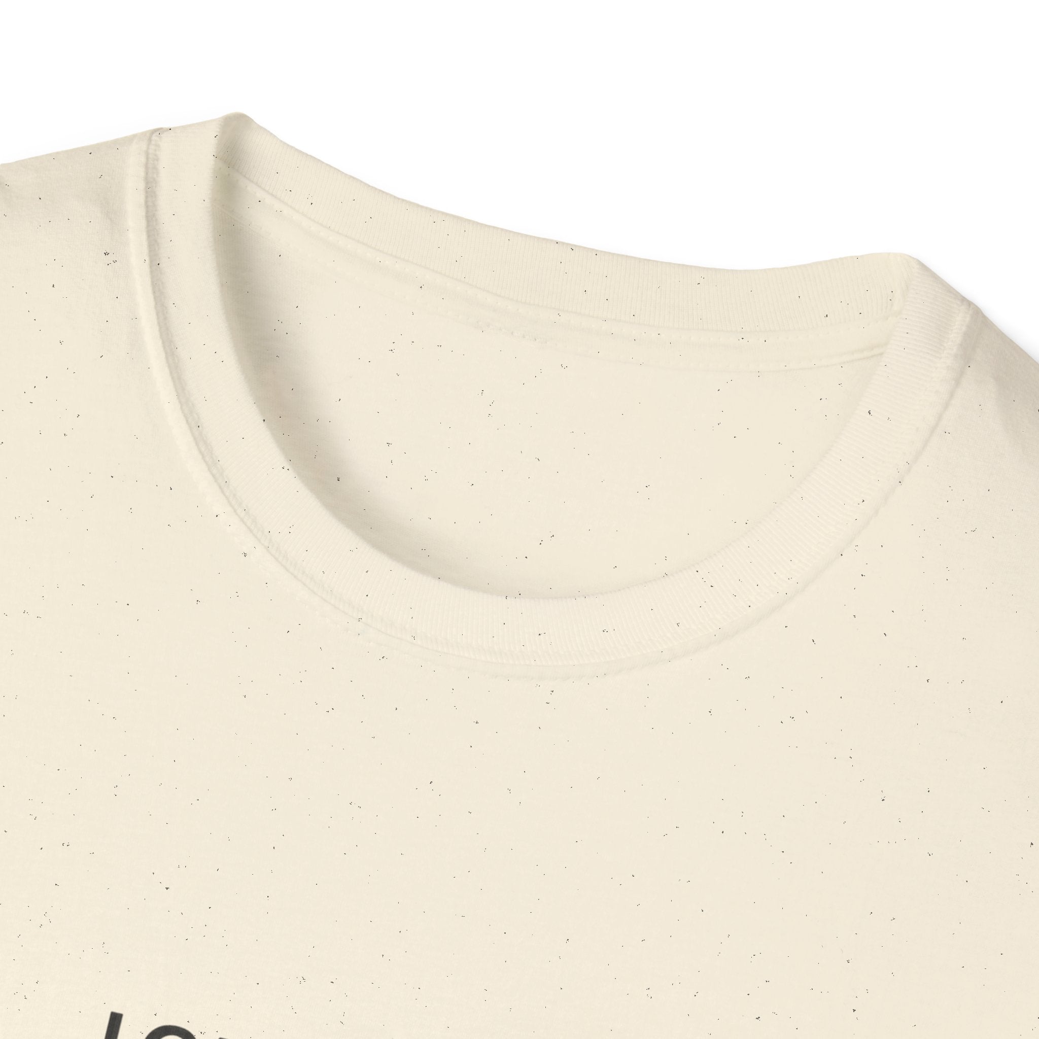 Acceptance Affirmation T-Shirt — "I Can Do All Things Through Radical Acceptance" Inspirational Tee